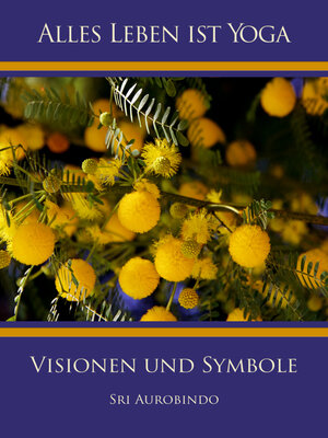 cover image of Visionen und Symbole